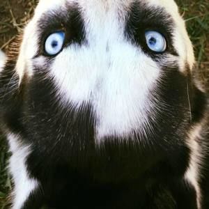 Meet your Posher, Elisa